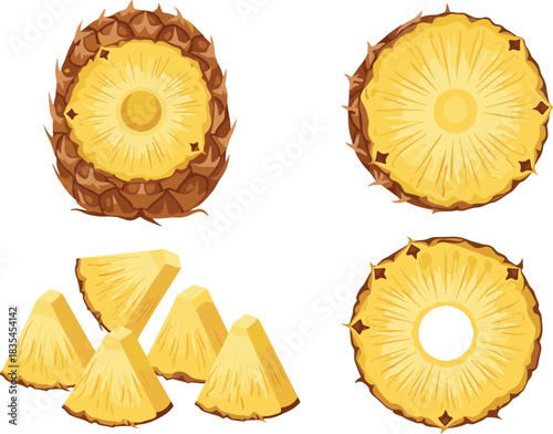Cartoon-style pineapple slices and chunks in various cuts, ideal for culinary, tropical, food design, and educational illustrations.