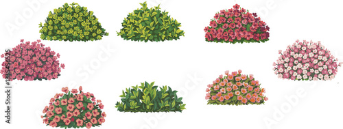 Bush vector set with floral and foliage variations, garden plant icons, colorful shrub illustration, landscape design elements, botanical nature collection
