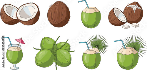 Set of cartoon coconut illustrations featuring drinks, whole fruit, halved coconuts, and tropical elements — versatile food and beverage icons