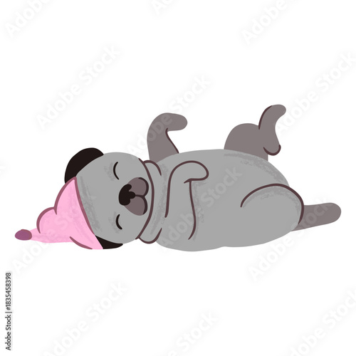 Cute pug sleeping belly up