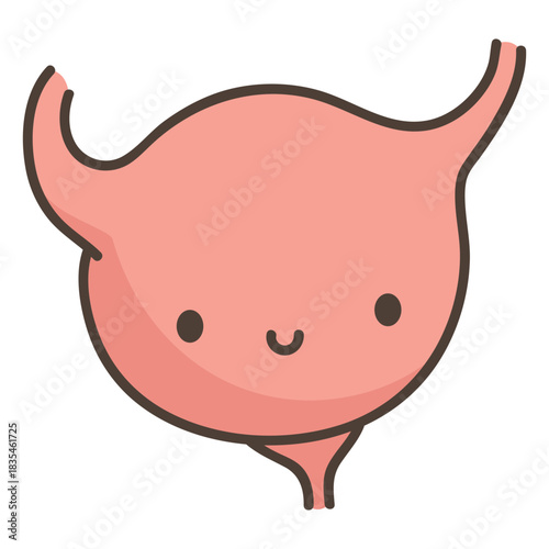 Human body bladder organ