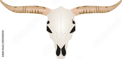 Isolated bull skull. vector illustration