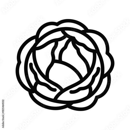 Head of green cabbage shows its many nutritious leafs in circular form in detail with black outline