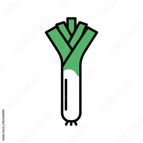 Illustration of fresh organic leek vegetable with green leaves on white background