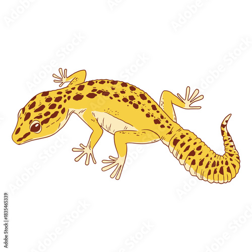 A curious leopard gecko