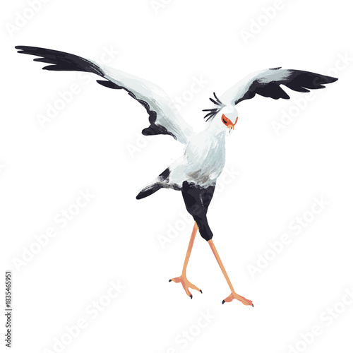 Secretarybird gracefully flaps its wings