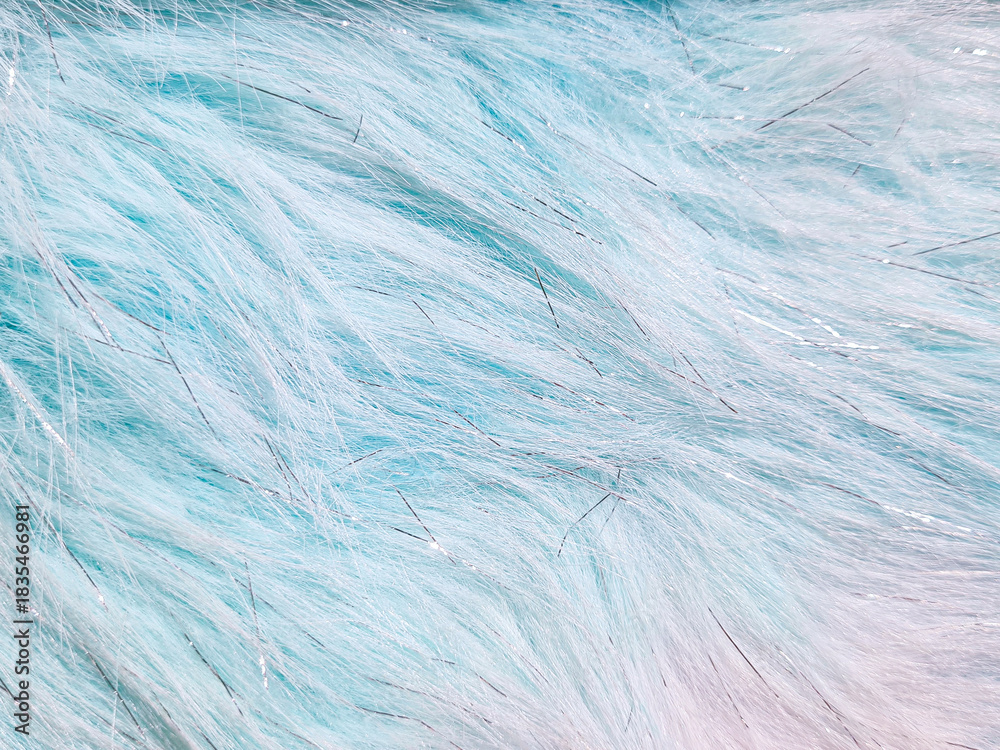Obraz premium Background of texture: synthetic fur fabric, light blue gradient with shiny silver threads. Surface of rasfur fabric light blue gradient with silver metallic fibers for decoration and craft materials.