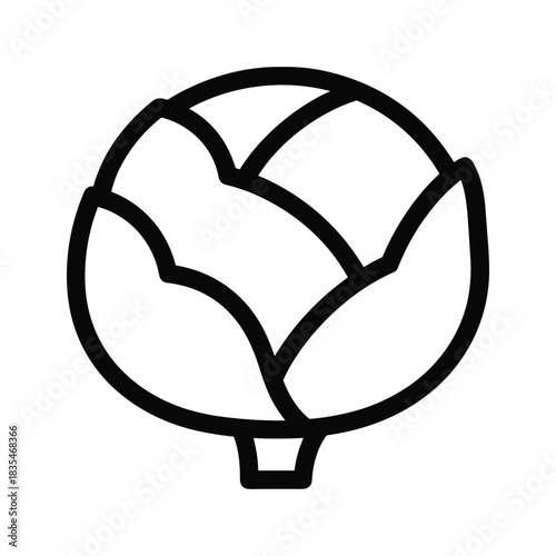Illustration of cabbage head, organic farm harvest, source of vitamins and antioxidants