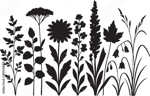 showcasing a diverse array of meticulously silhouette vector