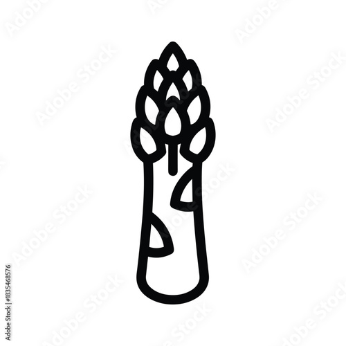 Outline illustration of asparagus vegetable for healthy vegan eating source