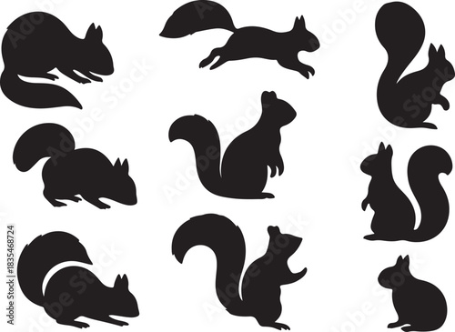 Silhouette of a squirrel in different poses isolated on set of vector silhouettes of a squirrel in different poses squirrel silhouette vector