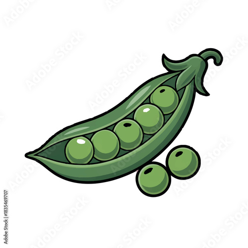 Green Peas Pod Illustration