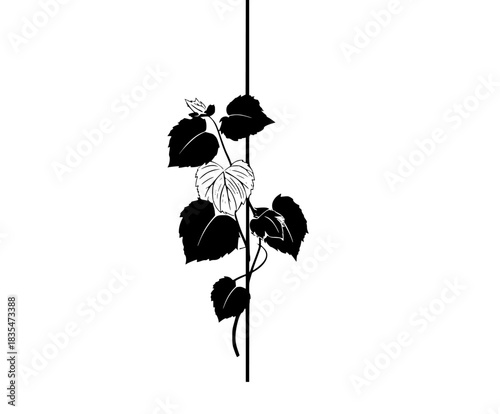 Vine's Journey: Tale Growth Persistence | Clean, isolated vector art for creative projects.