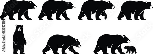 Black Bear Silhouette Collection: Walking and Standing Poses, Mother Bear with Cub, Wildlife Animal Set Isolated on White Background, North American Mammal Flat Vector Illustration