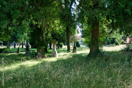 viele Grabsteine zwischen  Gras und Bäumen auf einem Waldfriedhof in Memmingen