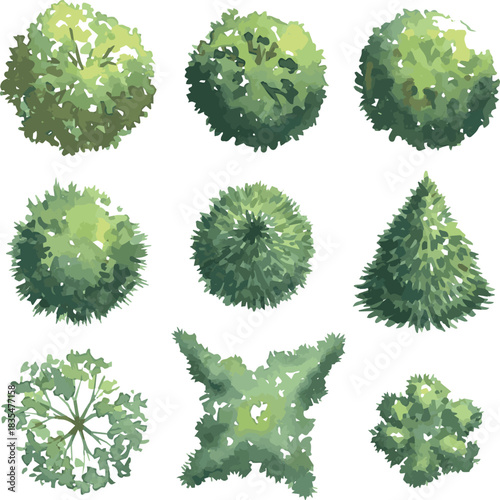 Create kinds of tree top watercolor hand drawn view isolated on white background for landscape plan and architecture layout drawing, elements for environment and garden on white background.