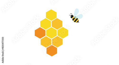 Honeycomb & Bee