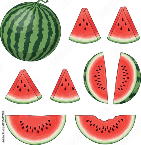 Create kinds of Watermelon fruit clipart set. Water melon whole and slice clip art elements collection in green and red color vector illustration white background.