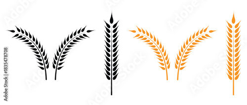 Wheat icon vector. Silhouette of wheat or rice icon symbol. Golden Wheat ears, barley icon set. Vector illustration.