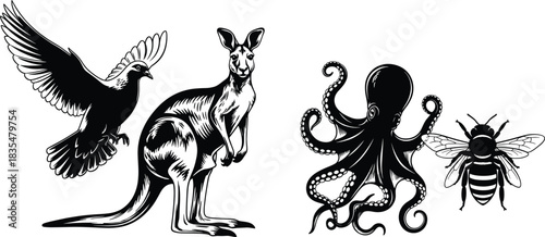 Bird, kangaroo, octopus, bee, animal illustration, black and white, wildlife drawing, vector animal, biodiversity, flying bird, marine life, insect art, land 