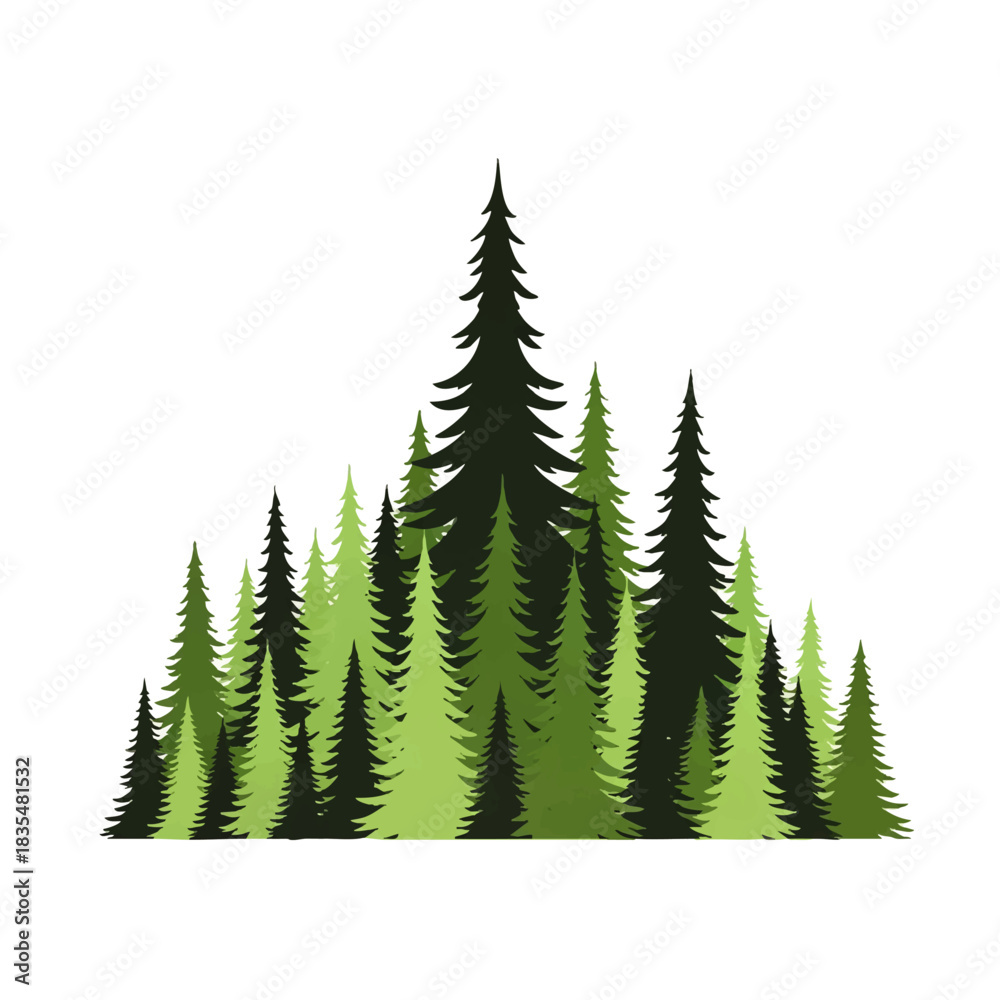 Fototapeta premium Forest Illustration A Group of Pine Trees in Various Shades of Green Against a White Background