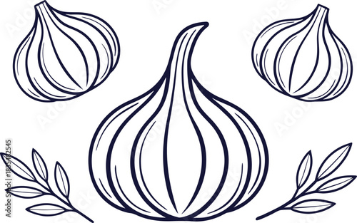Garlic Set in Clean Outline Strokes. Fresh Garlic Set in Outline Style. Garlic Elements Set in Line Strokes. Garlic Bulb Set in Smooth Outline. Organic Garlic Set in Thin Outline. Garlic Illustration