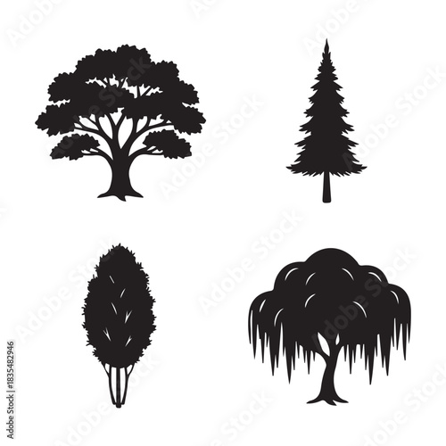 Four distinct silhouette trees including an oak pine weeping willow and deciduous tree