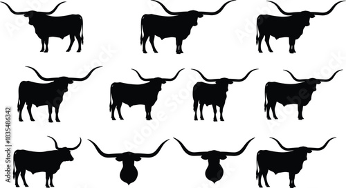 Black Longhorn Cattle Silhouette Set, Texas Steer with Large Horns, Cow Group Isolated on White Background, Ranch Farm Animal Flat Vector Illustration