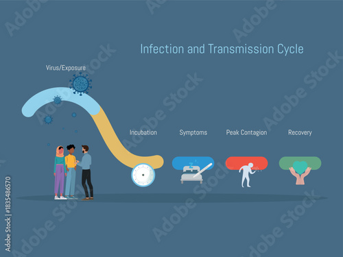Viral infection and transmission cycle infographic diagram