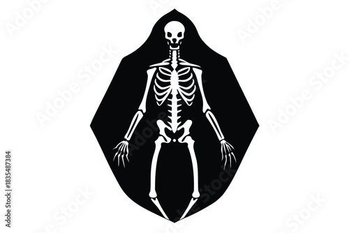skeleton vector icon silhouette illustration