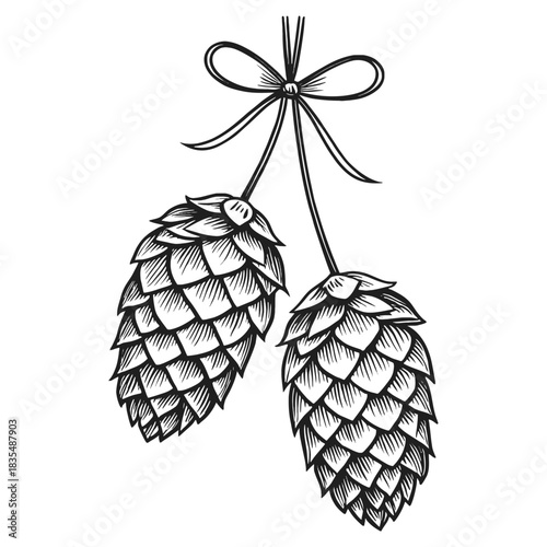 Two pine cones hanging from a bow with detailed line work on a white background in a vintage style