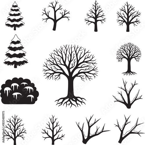 Collection of bare trees various shapes and sizes for winter scene