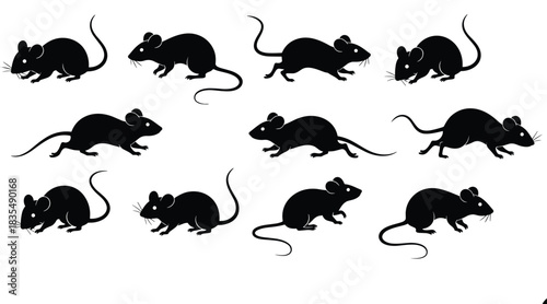 Black Mouse and Rat Silhouette Set, Rodent Group with Long Tail, Pest Animal Icon Collection Isolated on White Background, Laboratory Wildlife Flat Vector Illustration