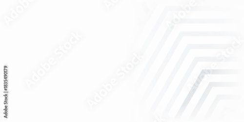 White silver soft geometric universal background for business presentation. Abstract elegant pattern. Frame borders. Minimalist empty lined blank BG.eps 10