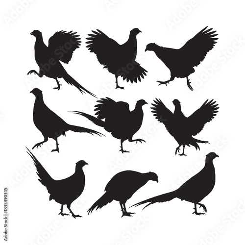 Rooster Ring-Necked Pheasants Silhouettes Collection, Pheasant Silhouette, Bird Vector, Wildlife Design Set