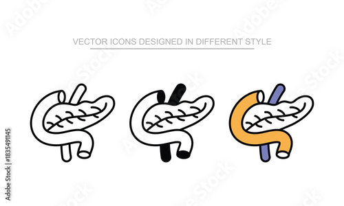 Pancreas vector icon stock isolated on white sheet