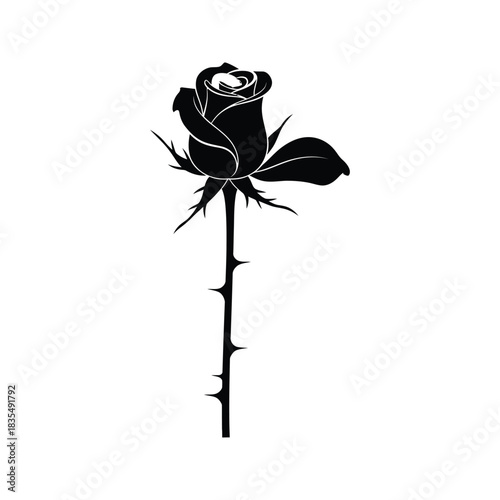 Elegant black silhouette of a single rose with sharp thorns on its stem against a white background