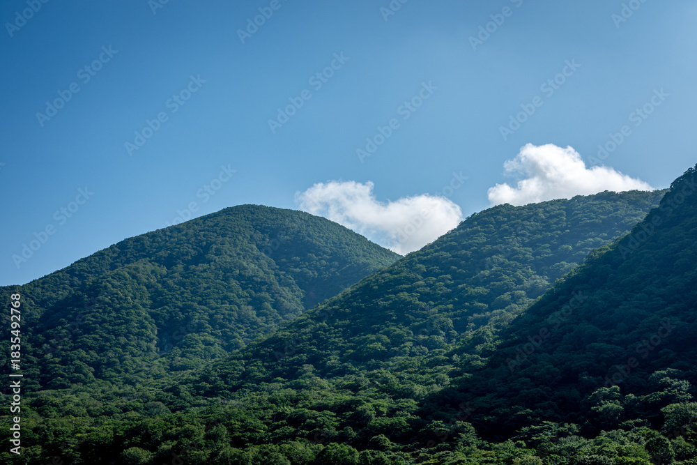 Fototapeta premium 夏の青空と濃い緑の山々、雄大な自然と光の風景