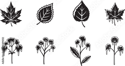 Autumn season vector set includes maple leaf, aspen leaf, branch with leaves