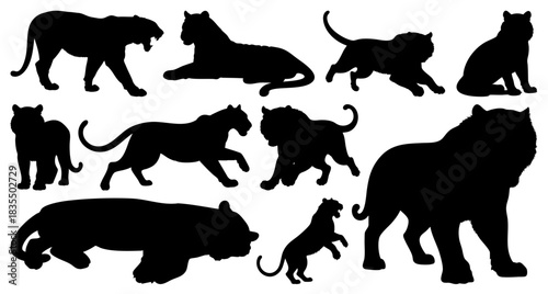 Wild Tiger Silhouette Set, Big Cat Vector Icons in Walking and Roaring Poses, Transparent Background