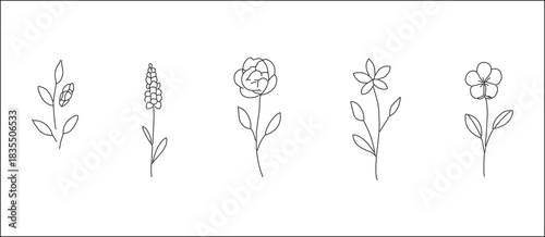 Minimalist Flower Line Art Collection  Botanical Sketches for Design & Study