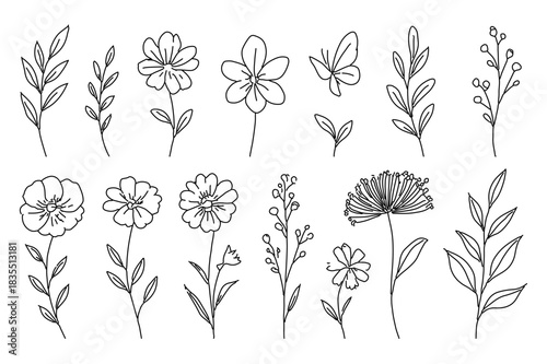 Botanical Line Art Set Minimalist Floral & Nature Illustrations