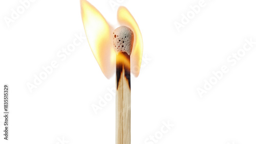 Quadro em tela Burning matchstick PNG isolated on transparent background, flame and fire concep