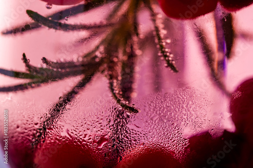 Christmas Snow Globe Cocktail Macro with Condensation, Rosemary and Cranberry Details, Festive Winter Holiday Abstract Beverage Concept