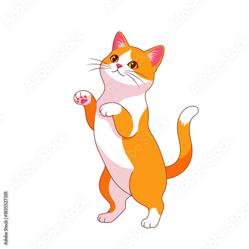 Playful Ginger and White Kitten Standing on Hind Legs Isolated on White Background