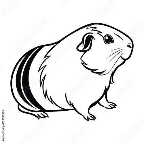 Cute guinea pig outline drawing isolated on white background, simple illustration for kids. Vector