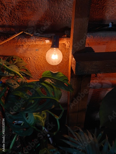 interior of a house with warm light