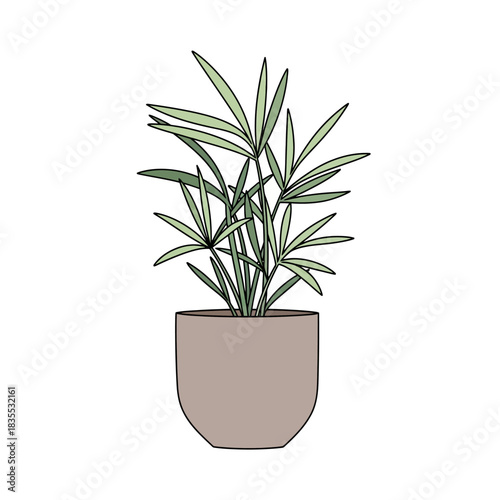 Stylized palm houseplant in a minimal clay pot offering serene botanical elegance indoors