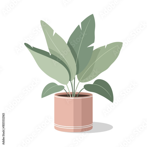 Stylized tropical plant in pink pot conveying simplicity and fresh botanical art