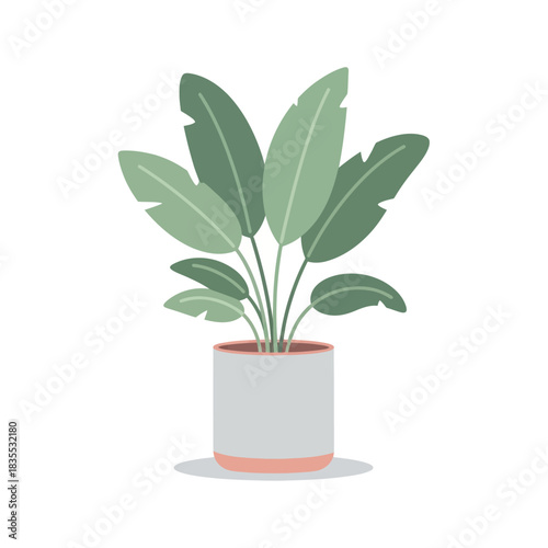 Stylized indoor plant illustration with broad leaves in minimalist vector art design